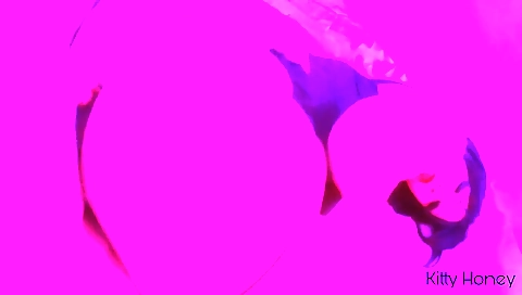 Hotest pornstarai petting past girlfriend in best anal, shemad scarl countertop scene